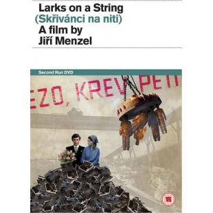 LJ-1845A 失翼灵雀（第2版）