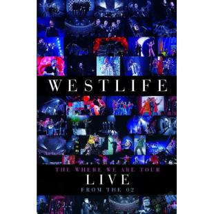 LBD-M0018 西城男孩2010年演唱会	