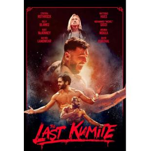 SJ-17182 绝杀招式