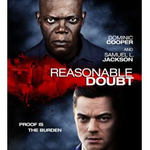 4GBD256048 合理怀疑