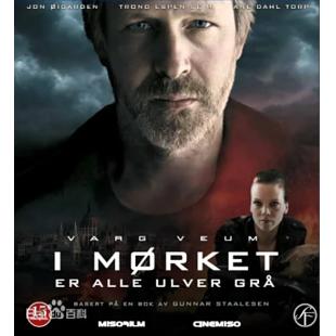 4GBD259008 暗夜灰狼