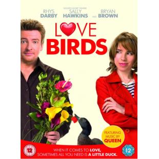 4GBD257658 爱情鸟