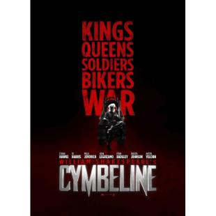 4GBD256891 辛白林