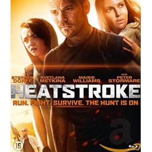 TM-1806 中暑惊魂 