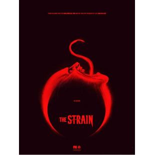 4GBD256544 血族（第一季）（三碟装）