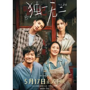 NF-02241 独一无二