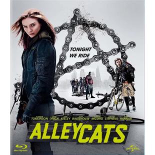 TM-2981	野猫农庄