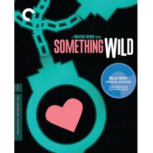 SJ-5427A 散弹露露 