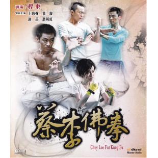 4GBD25C8691 蔡李佛拳