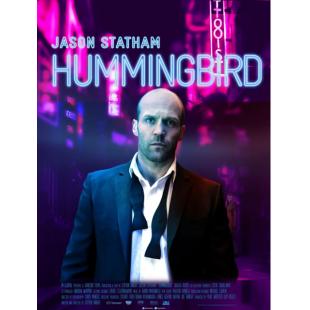 4GBD257293B 蜂鸟（新版）