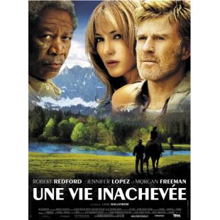 LJ-3062A 未竟一生(2005)