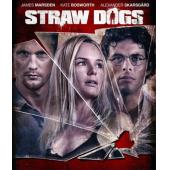 4GBD258669B 稻草狗