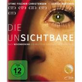 TM-R1680 壳中裂缝