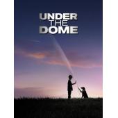 4GBD257861 穹顶之下(第一季)(4碟装)