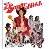 SJ-11435A 黑暗复仇