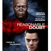 4GBD256048 合理怀疑