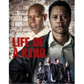 4GBD256032 王者之风