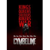 4GBD256891 辛白林