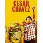 4GBD256271 凯撒·查韦斯