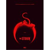 4GBD256544 血族（第一季）（三碟装）