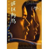 SJ-7936	郊区的鸟 