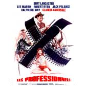 LJ-2635A 职业大贼(1966)