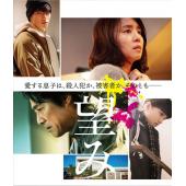 SJ-17060 爱与罪的两端