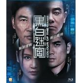 SJ-3328A 黑白迷宫