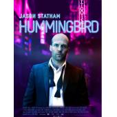 4GBD257293B 蜂鸟（新版）