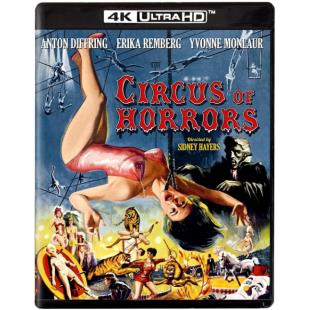 DT-91248X 马戏团疑云