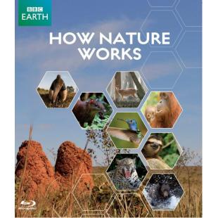 DT-81410【BBC】自然的运作