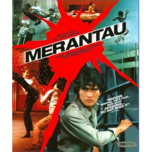 SJ-10242A 精武战士