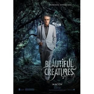 4GBD257371 美丽生灵