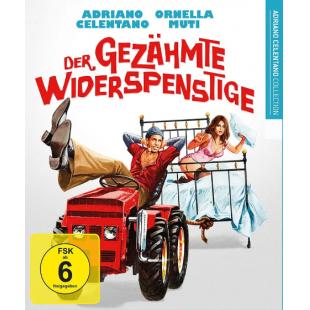 SJ-11154A 驯服恶棍 