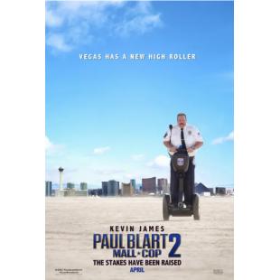 4GBD256937 百货战警2