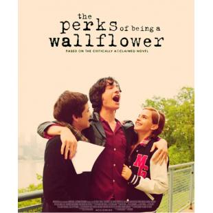 4GBD259730 壁花少年