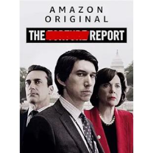 TM-R0542 酷刑报告