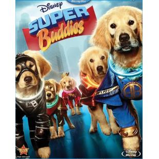 4GBD257664 超级伙伴