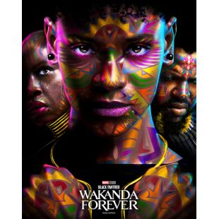 SJ-50048A 黑豹2（BD50+BD25 珍藏版）（独家双版本）