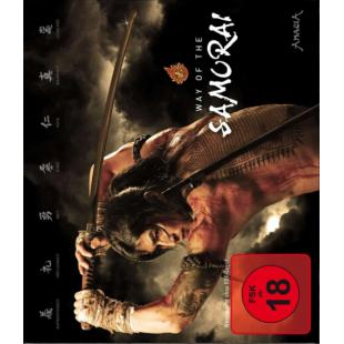 4GBD25A8918 山田长政：大城武士