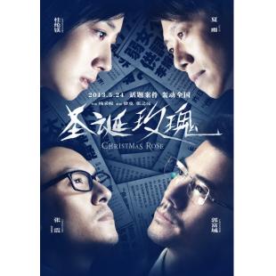 4GBD25C7619 圣诞玫瑰