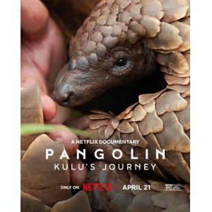 TM-R3918 穿山甲Kulu的旅程