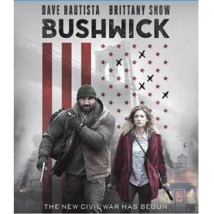 4GBD253223 布希维克