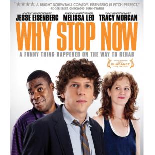 4GBD259828 为何中止