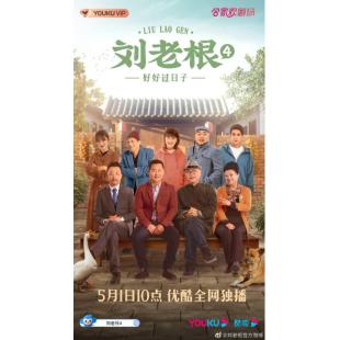 W6473 刘老根（1-4部）