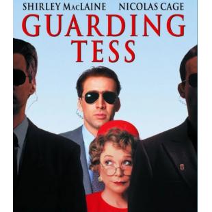 LJ-7864A 第一夫人的保镖(1994)