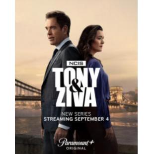 W3933 海军罪案调查处：欧洲喋血篇(2025)