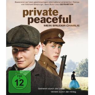 4GBD259789 柑橘与柠檬啊