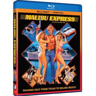 NF-00955 马里布激情快递（4K修复版） 