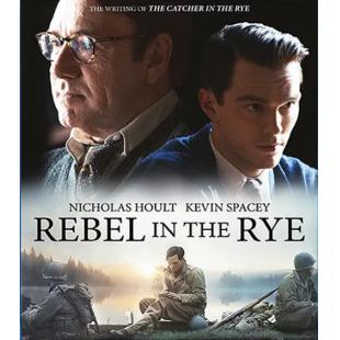 4GBD253476 麦田里的反叛者